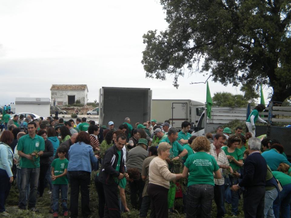 Día 1 de mayo Día 1 de mayo