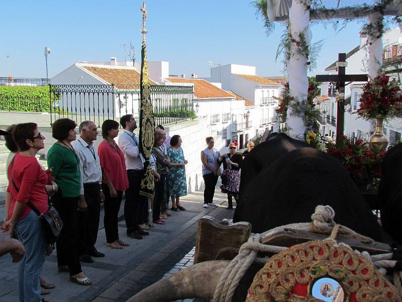 Romería en Honor al Cristo de las Agonías Romería en Honor al Cristo de las Agonías