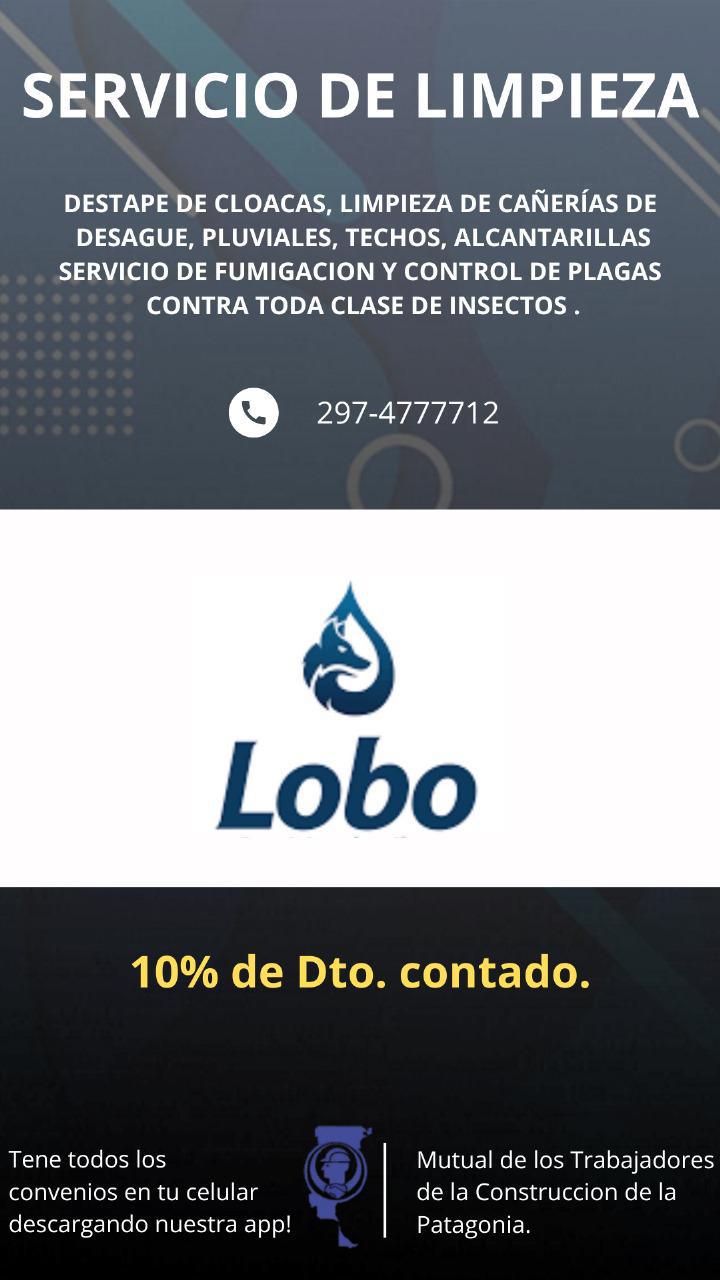 Servicio de Limpieza