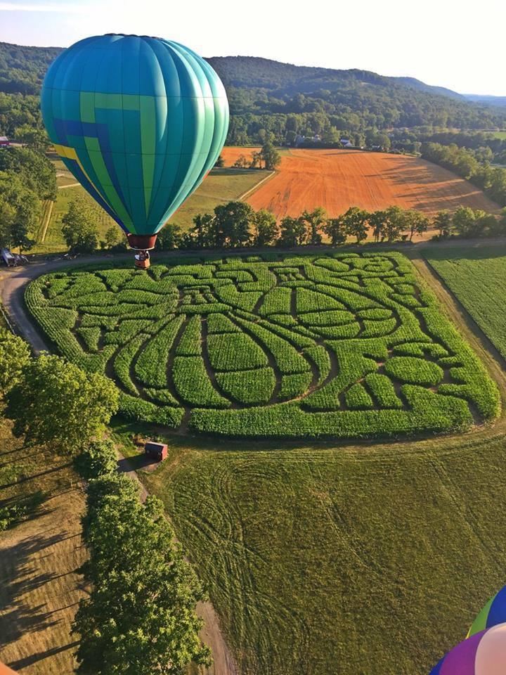 Balloons In Flight Balloons In Flight