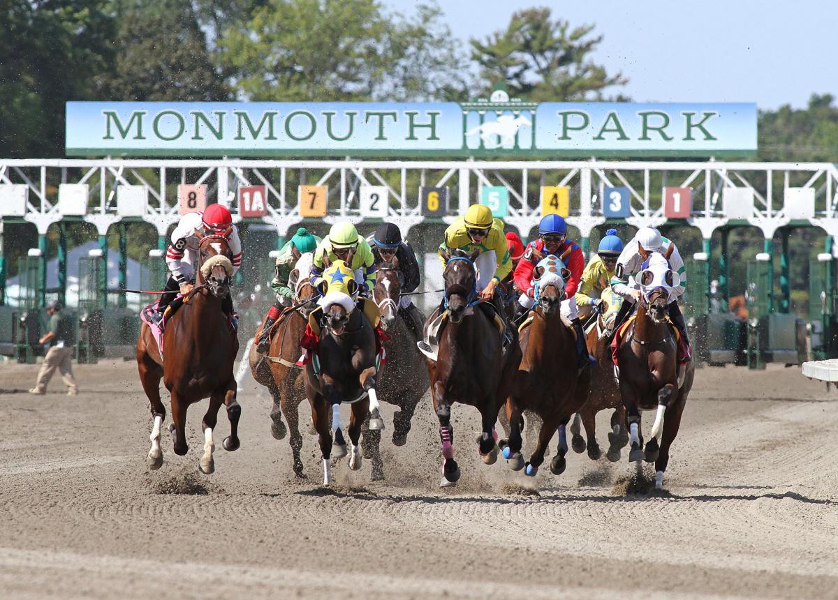 NJ Thoroughbred Festival & Giveaway 