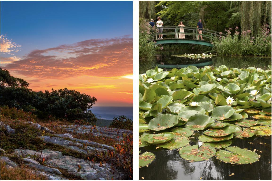 Parks & Gardens Parks & Gardens