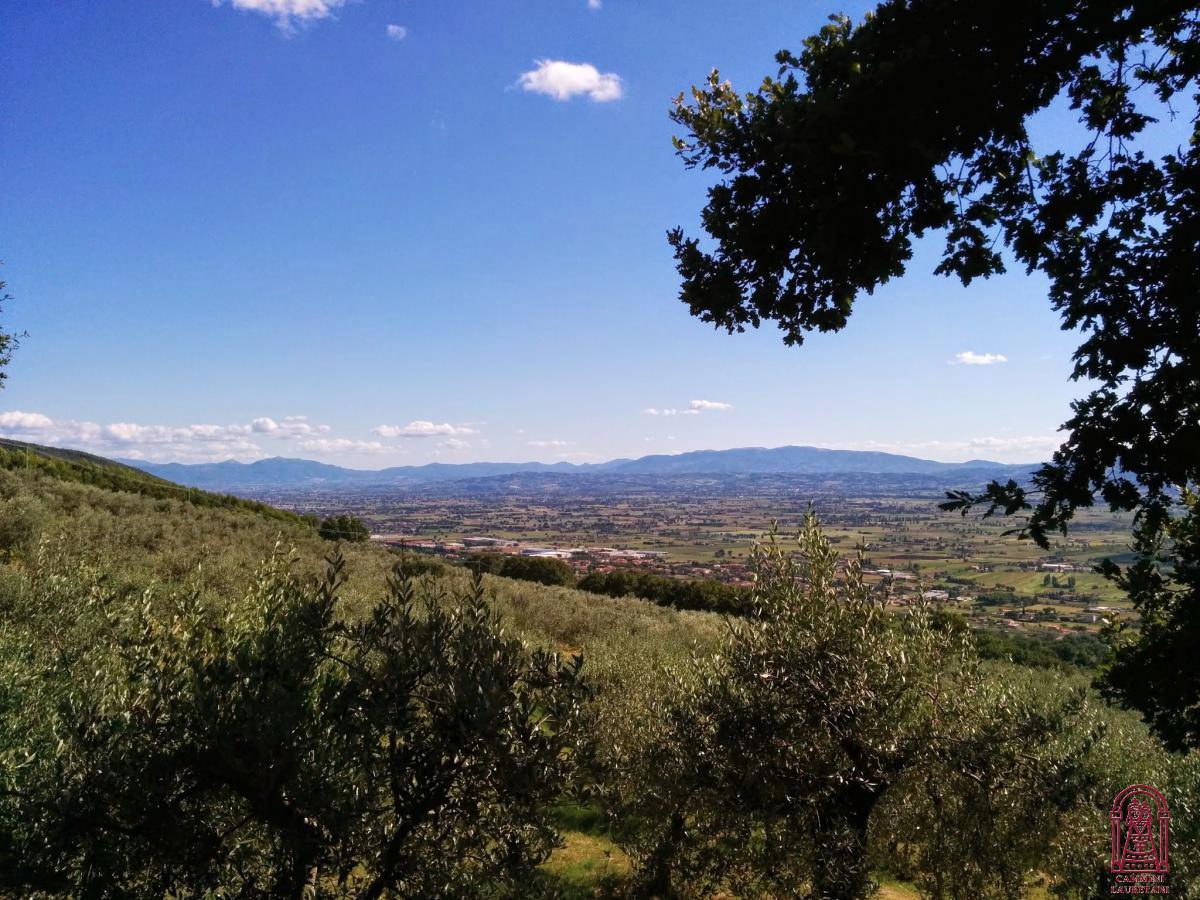  1° Tappa: Assisi - Spello (13 km)