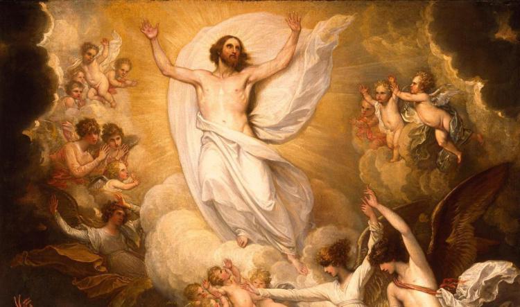 Meditación al Evangelio del Domingo 17 de Mayo de 2026