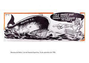 Mascote e Apelido Mascote e Apelido