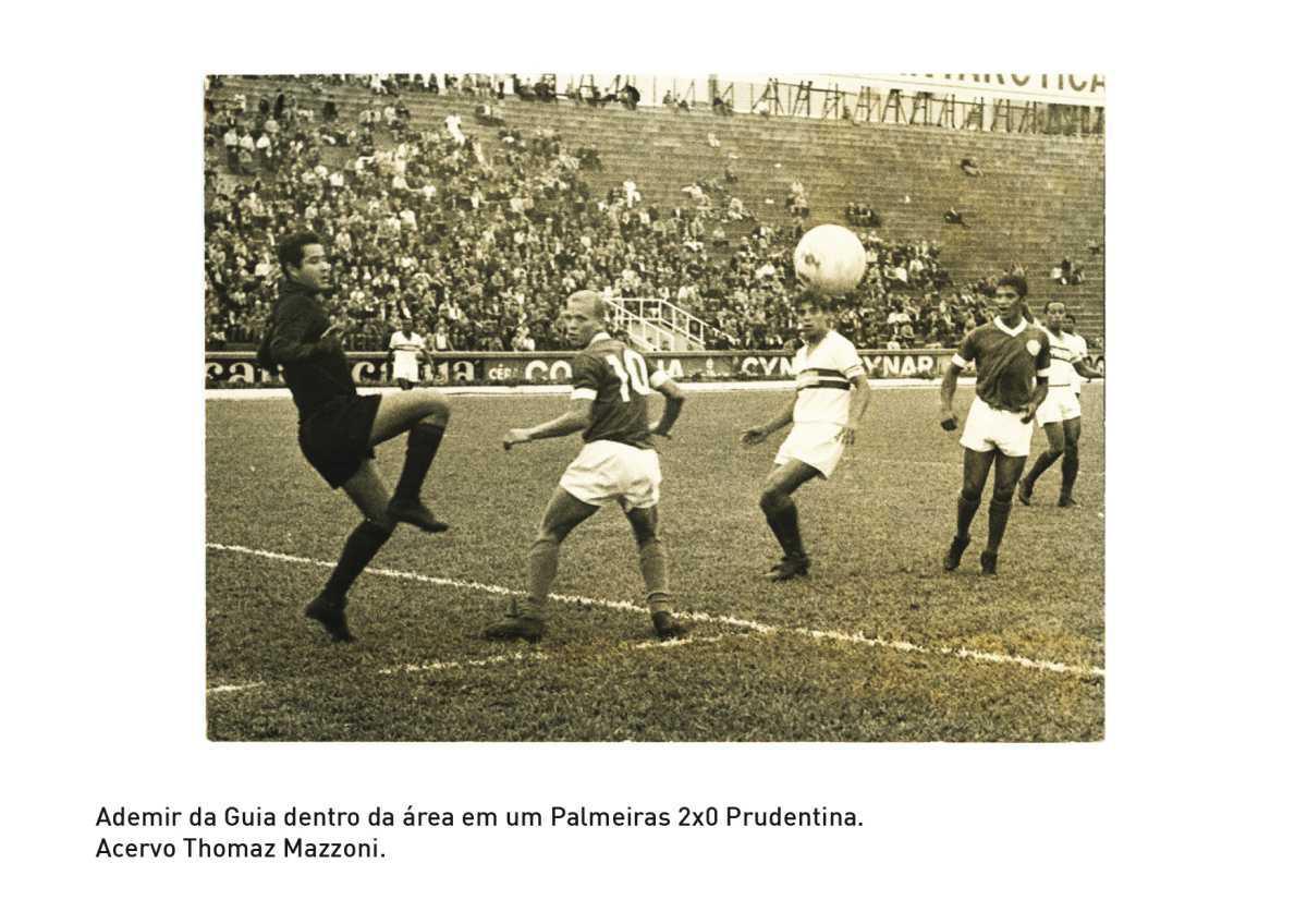 A Academia A Academia