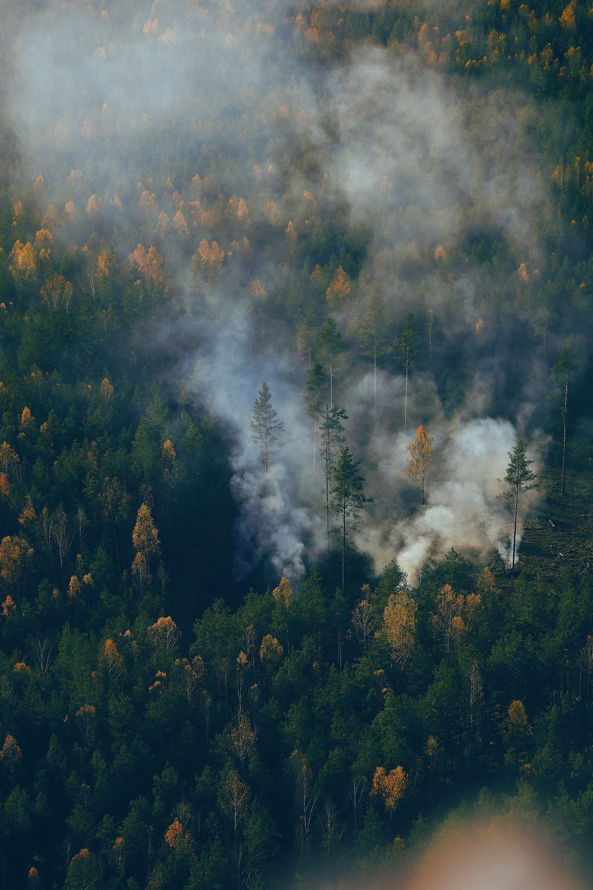 🔥 Fumées des feux d’espaces naturels : la DGSCGC nous répond