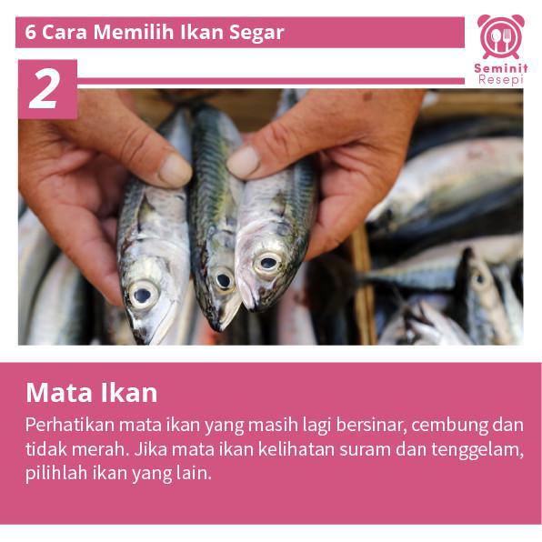 Cara pilih ikan segar