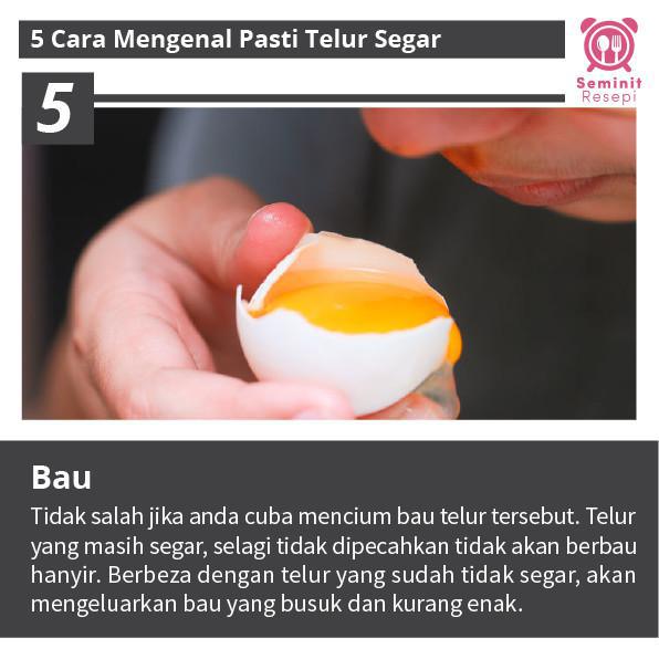 Cara kenal telur segar