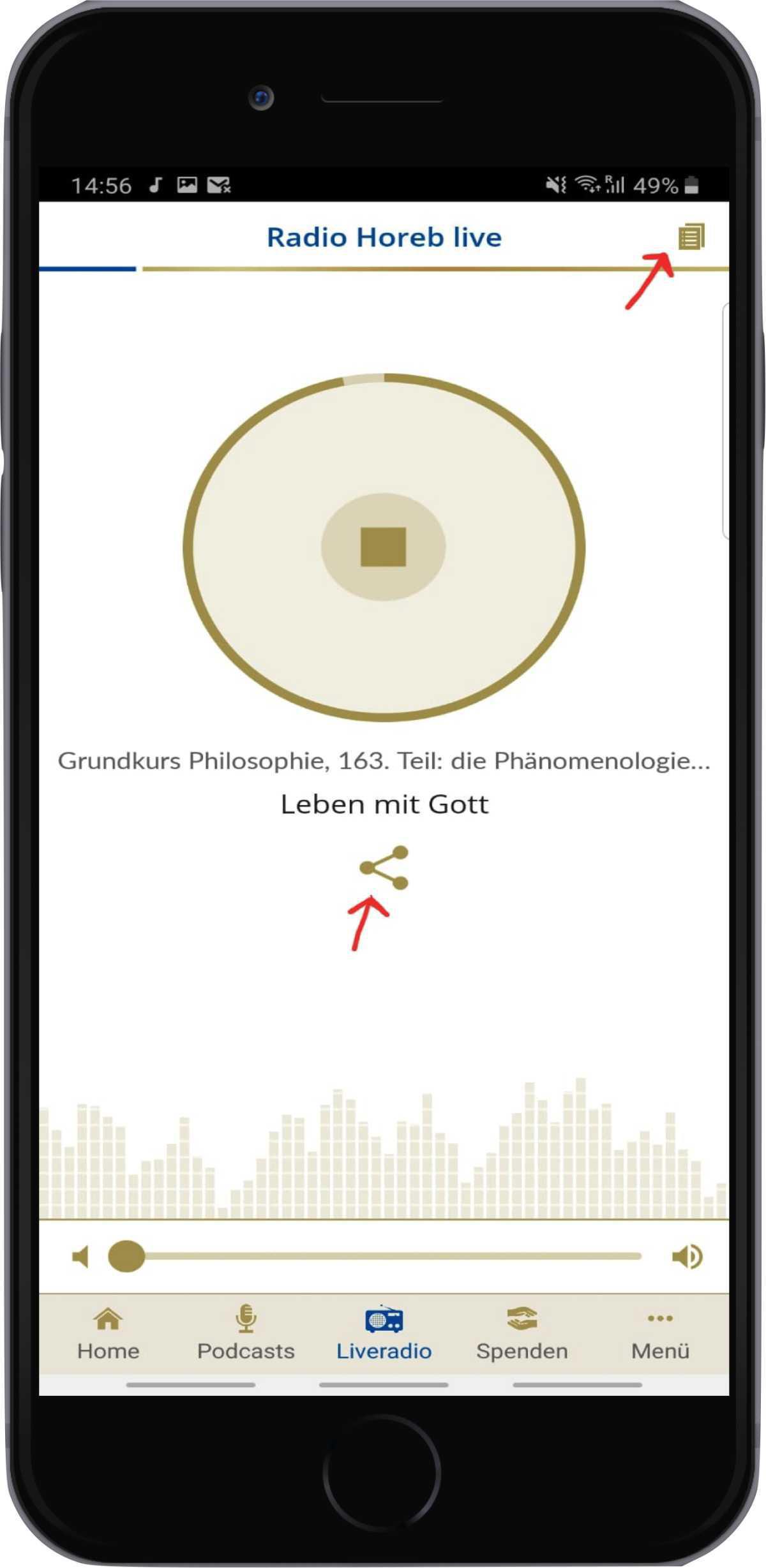Programm- und Teilensymbol beim Liveplayer Programm- und Teilensymbol beim Liveplayer