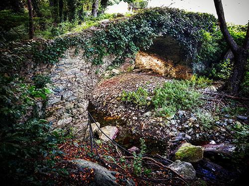 San Martinu ! Divizia ! San Martinu ! Divizia !