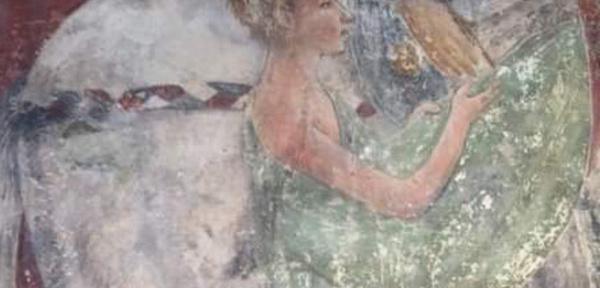 Attenti, scuperta maiò in Omessa !