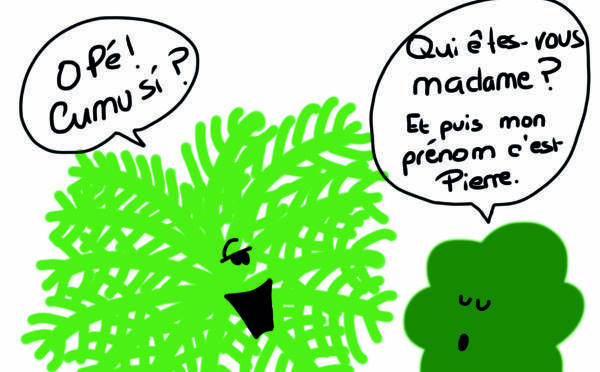 Spressione è pruverbii corsi illustrati da Lawra