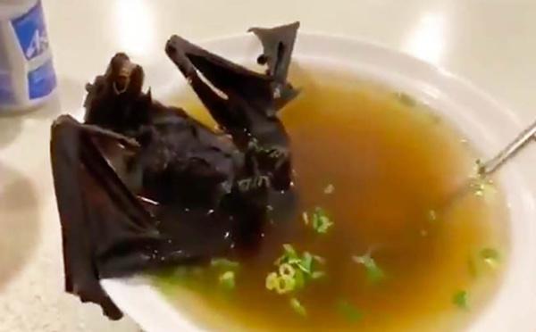 Ma cumu si dice "chauve-souris" in corsu ?