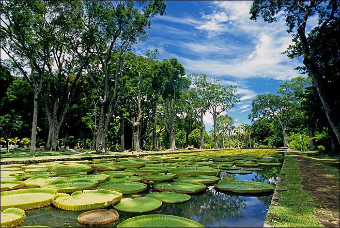 Jardin Botanique Sir Seewoosagur Ramgoolam