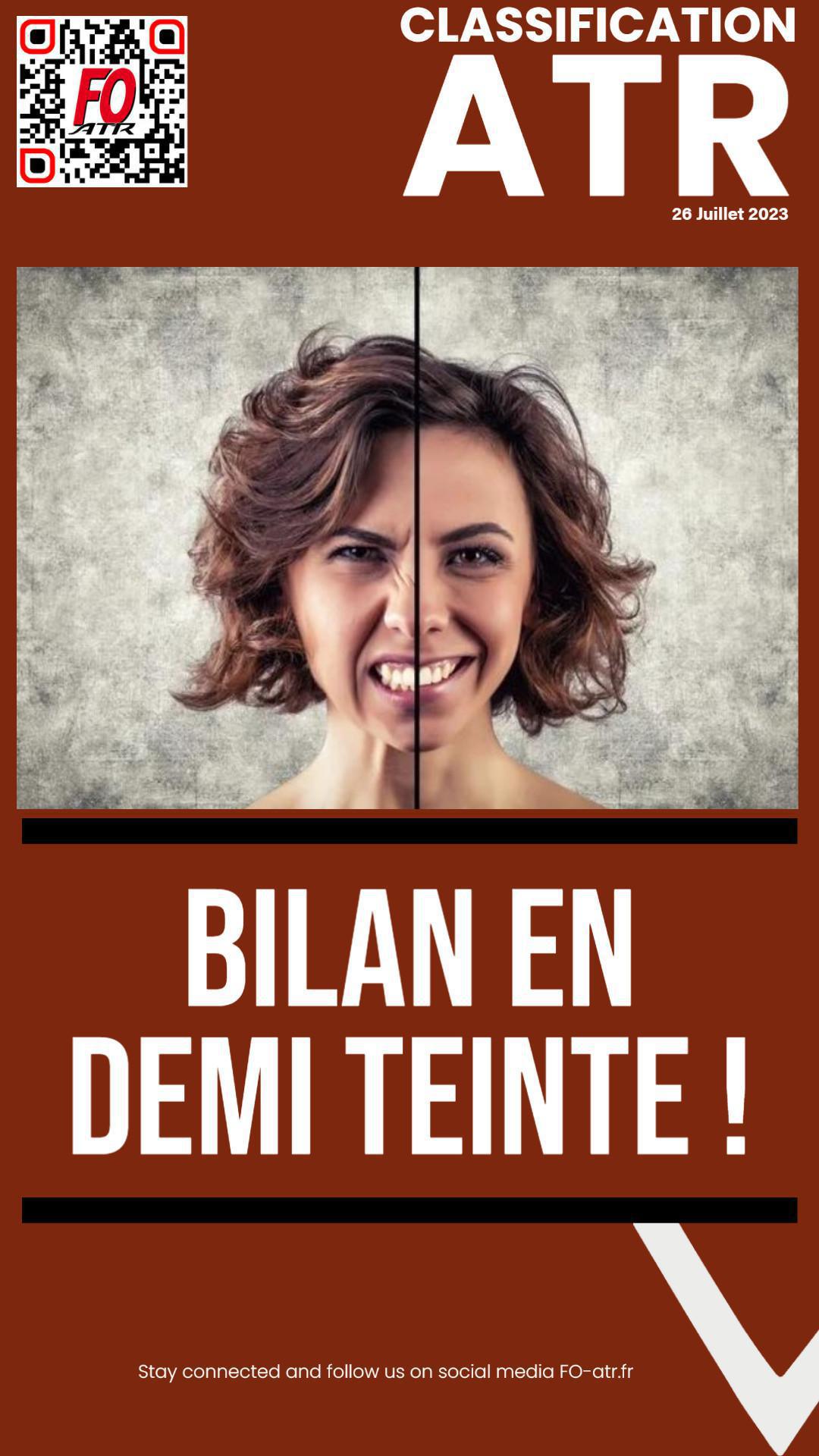 Classification : Bilan en demi-teinte Classification : Bilan en demi-teinte