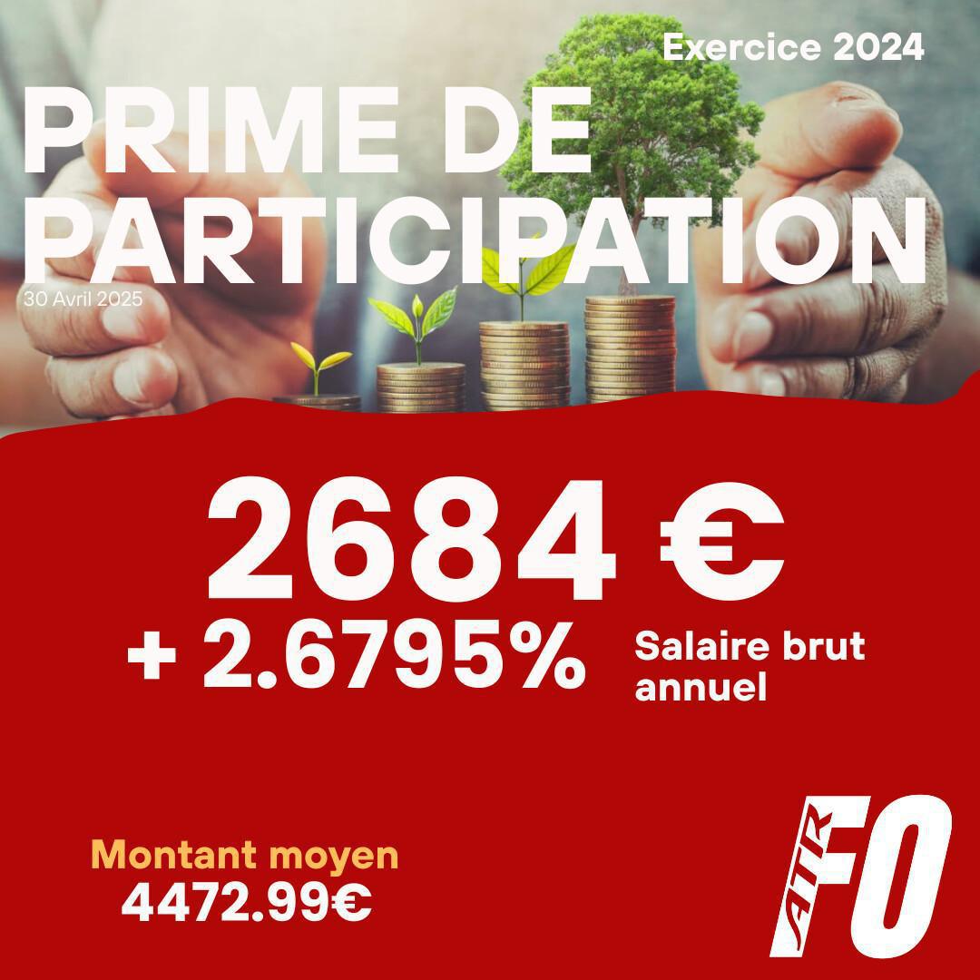 Participation: Exercice 2024, une année record !