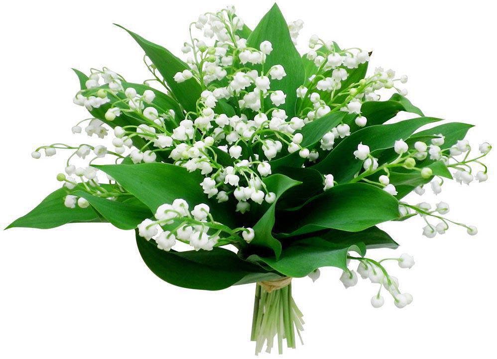 Fête du travail et Black Friday, quel rapport ? Fête du travail et Black Friday, quel rapport ?