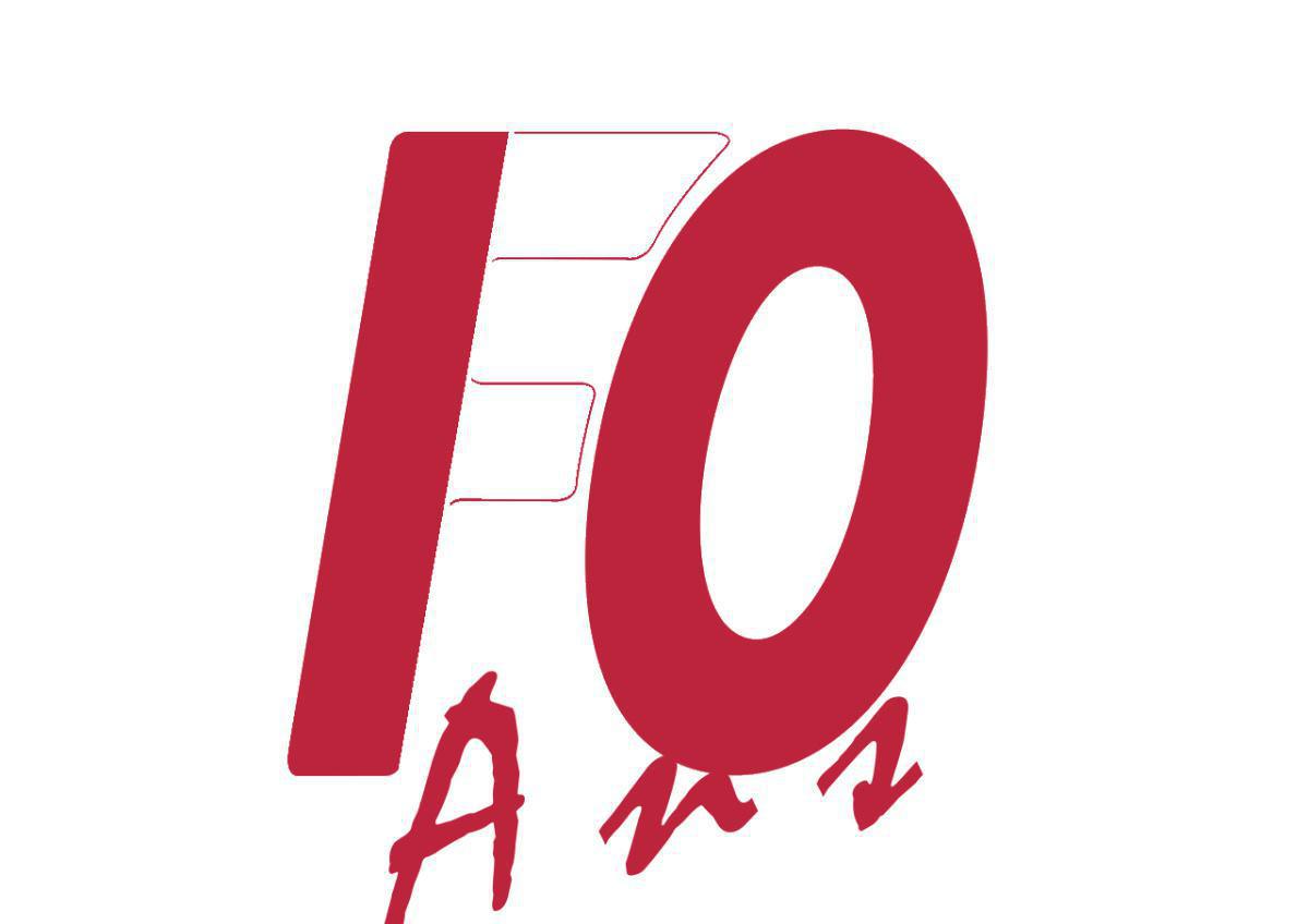 FO MetaPole : 10 ans FO MetaPole : 10 ans