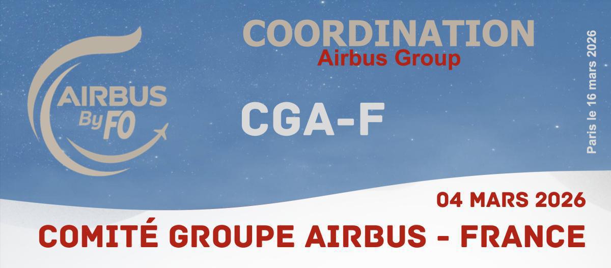 COMITÉ GROUPE AIRBUS - FRANCE