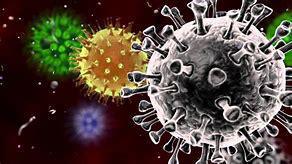 Covid-19 : Nouveaux messages de la Direction Covid-19 : Nouveaux messages de la Direction