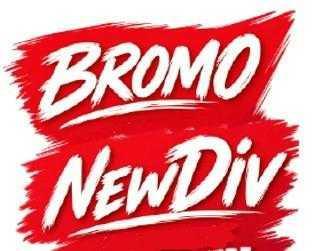 BROMO, NewDiv – L'analyse de FO