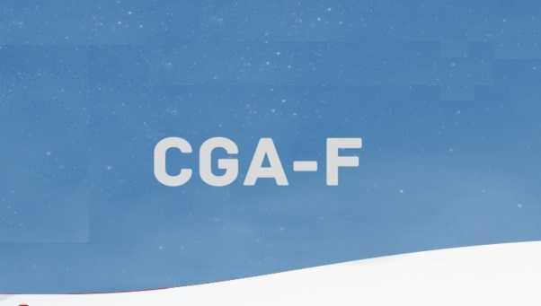 Comité de Groupe Airbus France