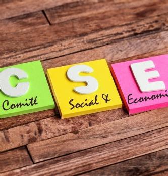 Compte-rendu partiel du CSE-C du 14 novembre 2025