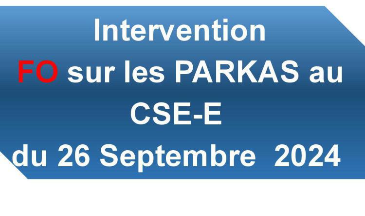 Intervention FO sur les parkas au CSE-E du 26/09/24