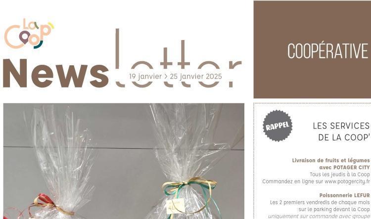 Informations du CSE et de la coopérative semaine 4