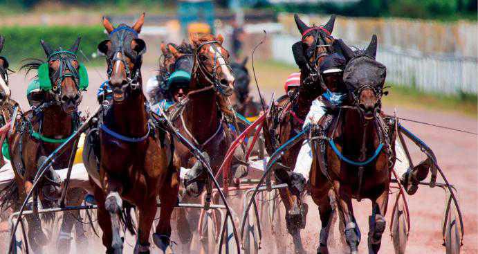 Soirée à l'hippodrome en famille vendredi 10 juin à 18h30 Soirée à l'hippodrome en famille vendredi 10 juin à 18h30