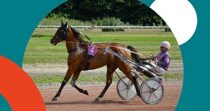 Infos CSE: Soirée en famille à l'hippodrome de Toulouse - 16 mai à 18h