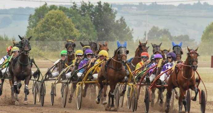CSE: Un après midi à l'Hippodrome de Grenade