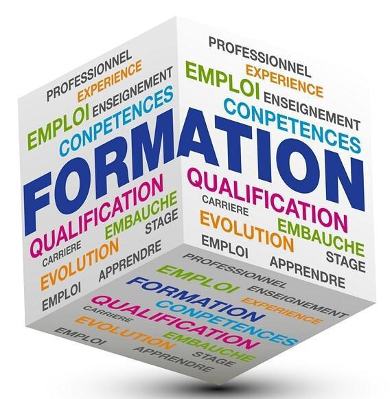 CSE: Commission GEPP, Atelier "Bilan de Compétences"