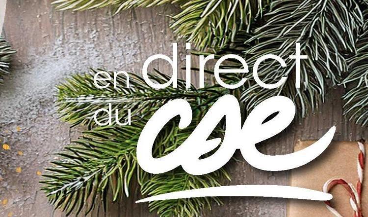 En Direct du CSE du 17 au 28 novembre 2025