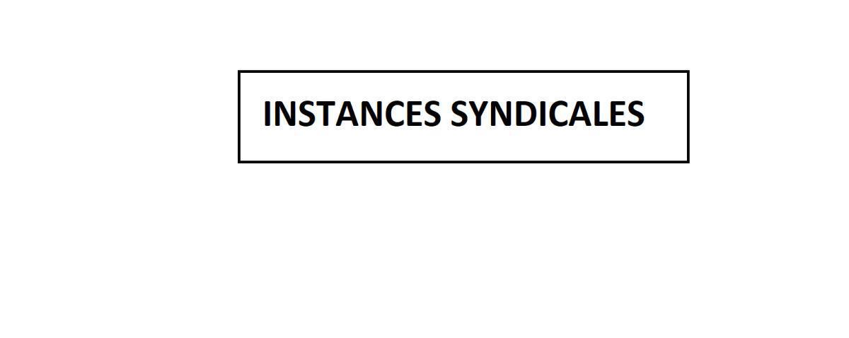 INSTANCES SYNDICALES