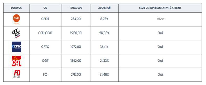 Représentativité dans le groupe AIRBUS ATLANTIC Représentativité dans le groupe AIRBUS ATLANTIC