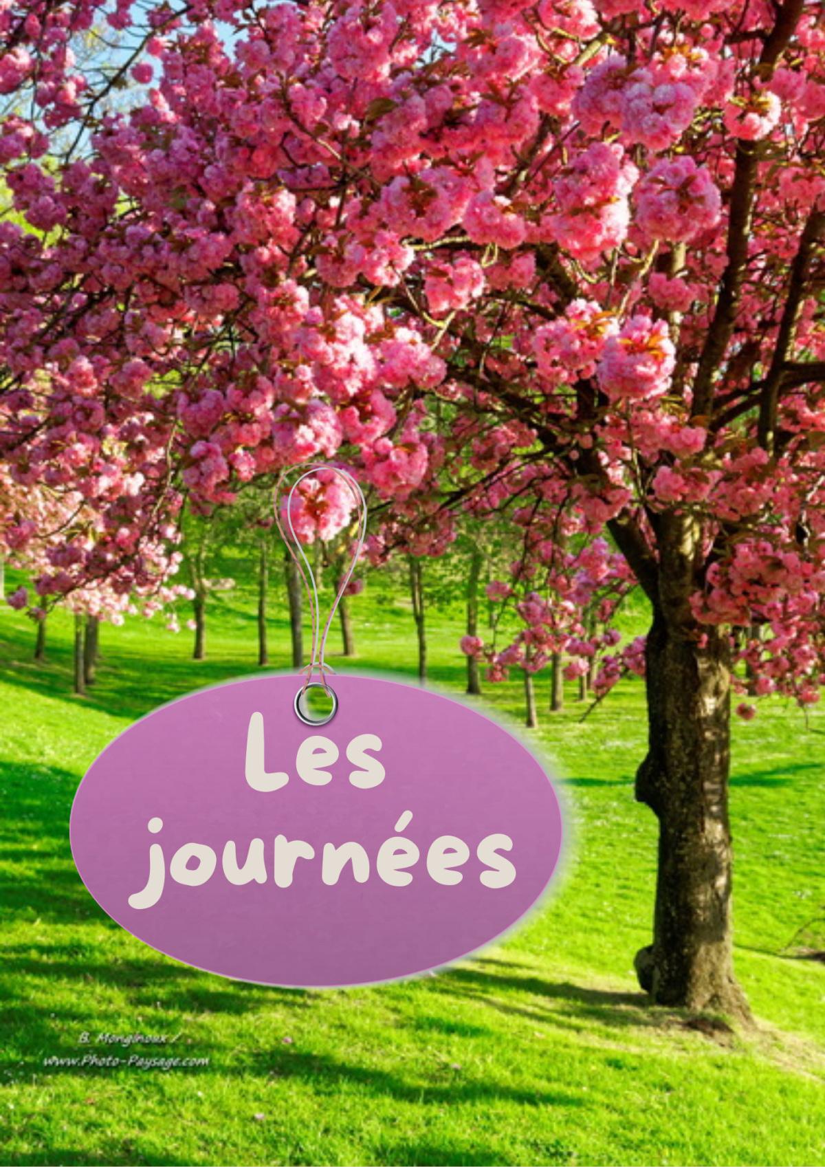 Sorties et Week-ends 2025 