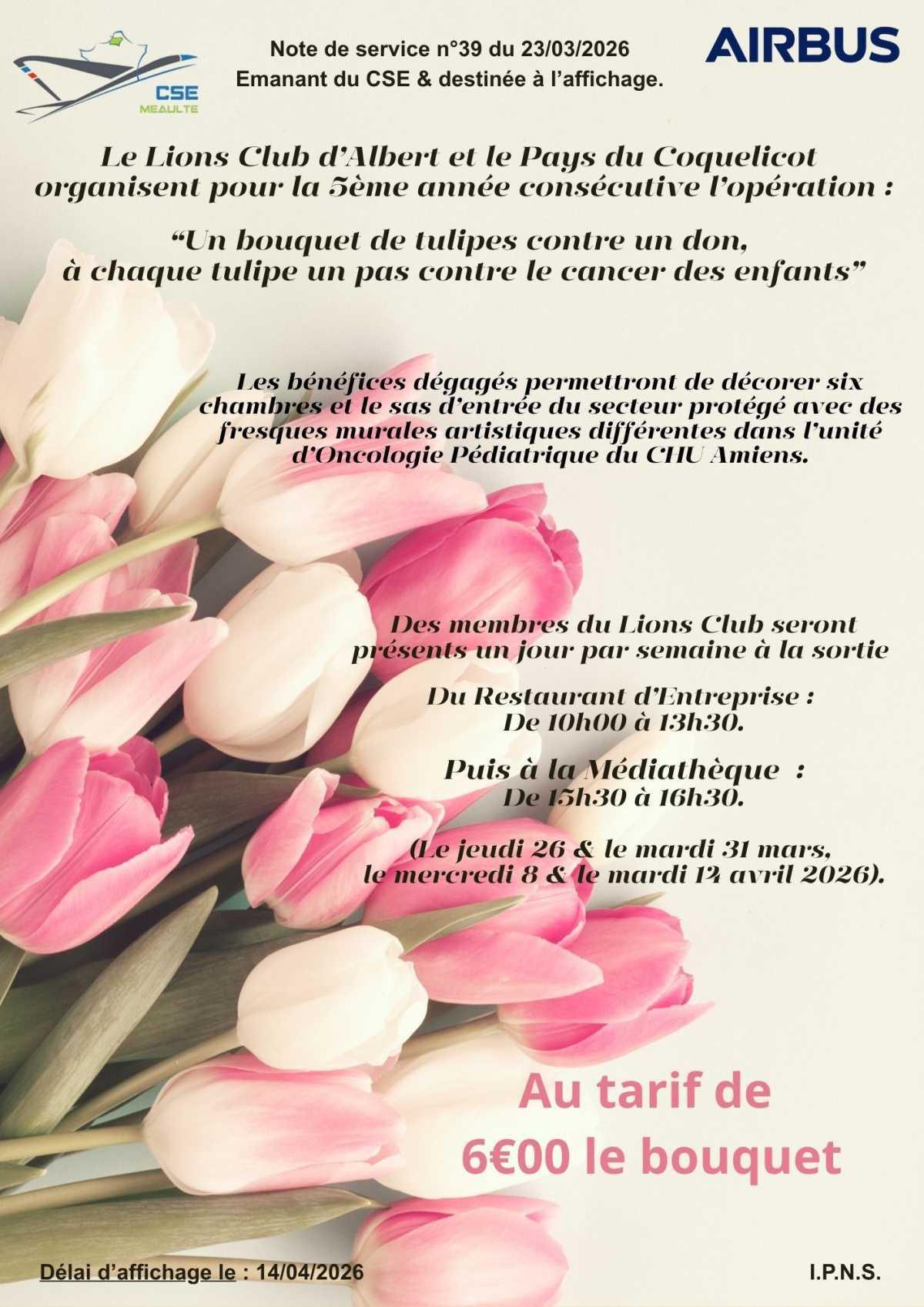 Vente de Tulipes