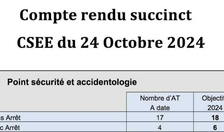 Compte rendu succinct du CSE-E du 24 octobre 2024