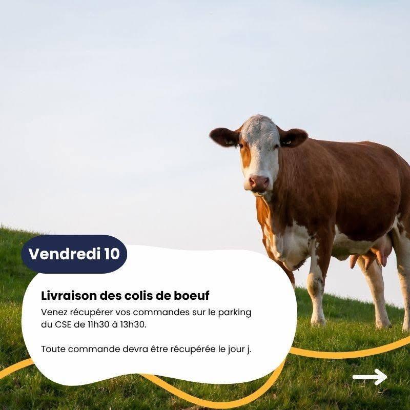 📣Info CSE S37📣