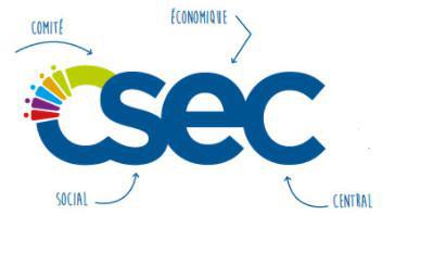 Flash Info : CR Partiel du CSE-C Extraordinaire du 27 septembre 2024 : Projet SPARROW et LEAD !