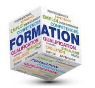 CR succinct GEPP (Gestion des Emplois et Parcours Professionnels) du 17 juin 2025
