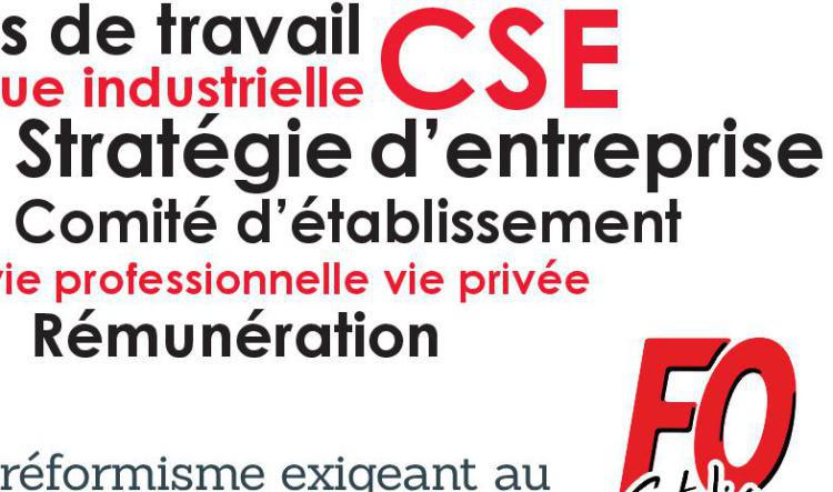 CSE Elections 1er Tract FO STELIA Toulouse