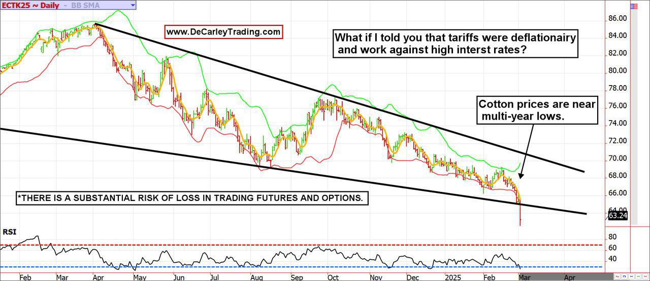 Cotton ~ Daily