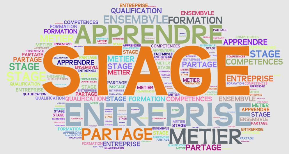 Stage d'observation pour les enfants du personnel ! 