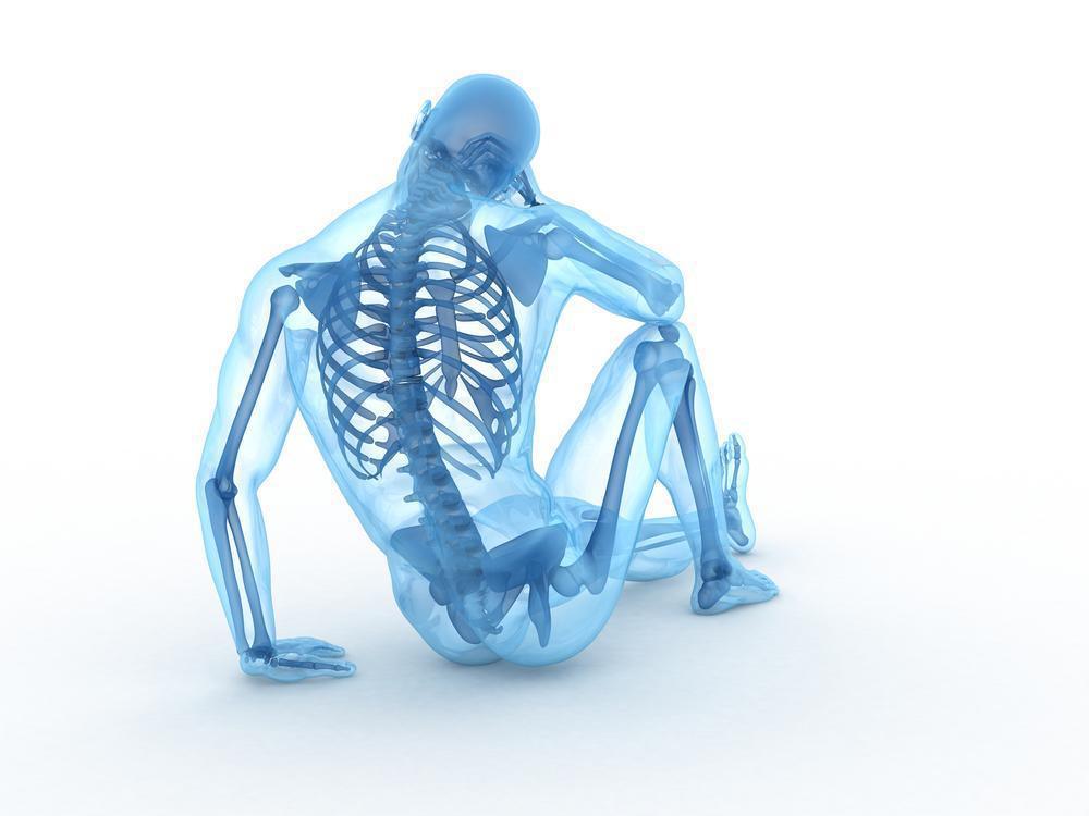 Séances d’ostéopathie novembre 2025.