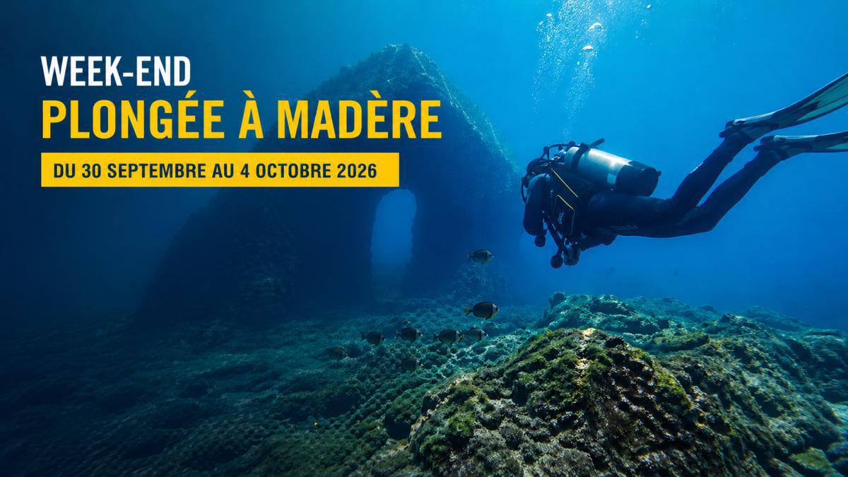 Week-end plongée à Madère. Week-end plongée à Madère.