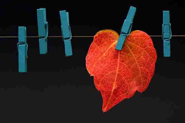 Fertigstellung Trockenräume