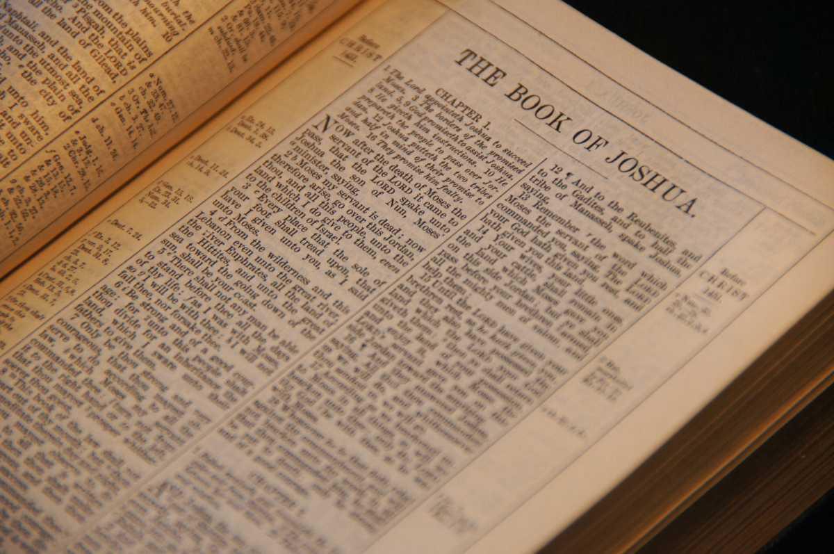 More Than Just Reading More Than Just Reading